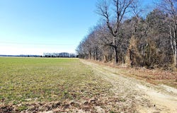 GRAVEL BRANCH Road, HURLOCK, MD 21643