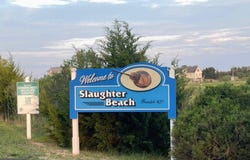 BEACH PLUM Drive lot: 515, MILFORD, DE 19963