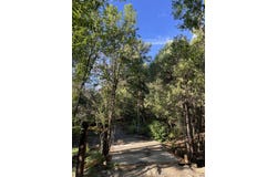 Rainbow Trout Lane lot: 5 & 6, Pecos, NM 87552