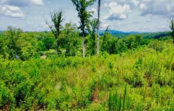 16 Mystic Drive, Ellijay, GA 30540