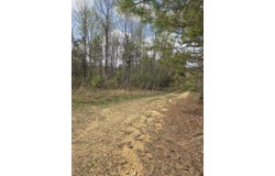 1497 Co Rd 117, Hodges, AL 35571