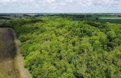 Tbd CR 3550, Honey Grove, TX 75446