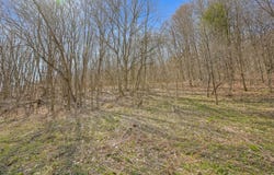 L9.112 Lutheranville Rd, Summit, NY 12175