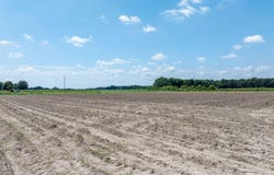 000 Oberry Road, Dudley, NC 28333