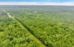 968 CR 3908, Jacksonville, TX 75766