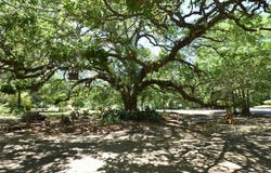 143 CHAMALE Drive, Slidell, LA 70460