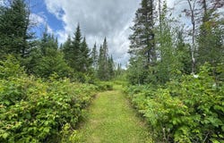 1csm666 MERCER LAKE CR S, Mercer, WI 54547