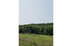 Plat 10 Lot 61 Bear Cave Way, Camdenton, MO 65020
