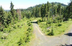 1337 Tie Creek Dr, Orofino, ID 83544