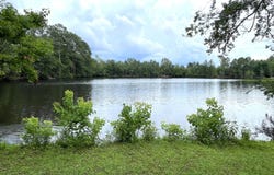 201 Shuman Drive, Statesboro, GA 30458