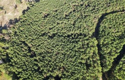 Jimmie Drive, Forest, MS 39074