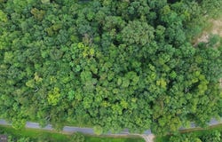 Lots 182, 183, 184 ROCKWOOD TRAIL, WINCHESTER, VA 22602