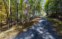 DAWN DR, BASYE, VA 22810