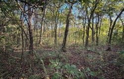 Tbd Walnut St, Mccurtain, OK 74944