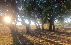 2232 Private Road 4032, Eden, TX 76837