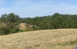 492 HIGHWAY 13, HELENA, AL 35080