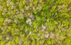 Tbd Banks Road, Hardy, AR 72542