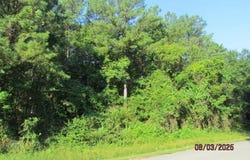 Ashley 461, Hamburg, AR 71646