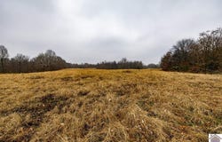 State Route 58 W, Mayfield, KY 42066