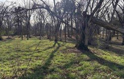 Main Highway, West Point, AR 72178