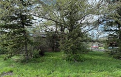 NHN S Pine Street, Reed Point, MT 59069