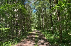 9 Maple Landing Rd, Altmar, NY 13302