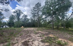 Tbd NE 16TH PLACE, WILLISTON, FL 32696
