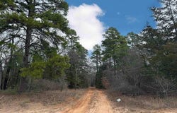 0 King Bruce Road, Scroggins, TX 75480