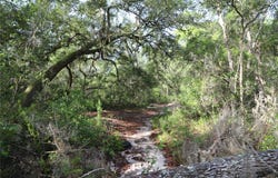 00 STATE ROAD 100, KEYSTONE HEIGHTS, FL 32656