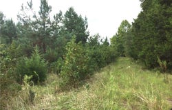 524 Trail Road, Belton, SC 29627