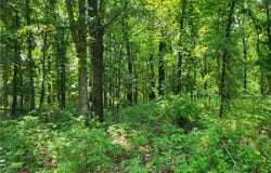 Rolfs Place, Edwards, MO 65326