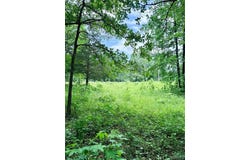 0 County Road 450, Poplar Bluff, MO 63901