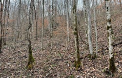 2774 Mosley Bend Road, Hyden, KY 41749