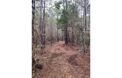 15+/- Acre Rockhill Rd., Purvis, MS 39475