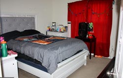 178 BAYS FARM DRIVE, LOUISA, VA 23093