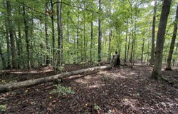99 Dogwood Trail, Nancy, KY 42544