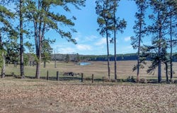 1508 Rosevine Road, San Augustine, TX 75972