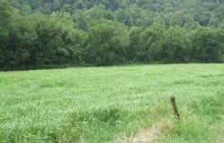 Hueysville, KY 41640