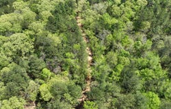 1 Ollie McCullough Road, Sprott, AL 36756