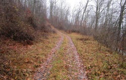 N Pheasant Mountain Road, Kerens, WV 26276-0010