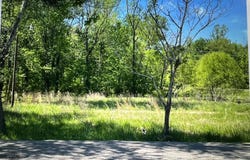 24 Jones Bend Road, Paris, TN 38242