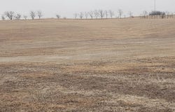 868 Rd, Belden, NE 68717