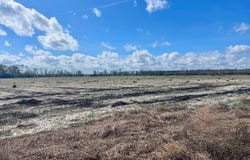 2340 SW COUNTY RD 351, Mayo, FL 32066