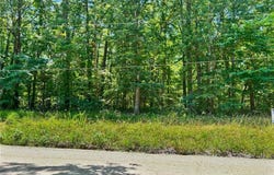 20 +/- Acres Fire Tower Rd., Unincorporated, MO 63383