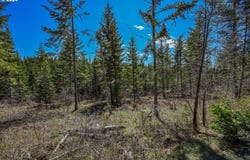 Lot 2 Plantation DR, White Salmon, WA 98672