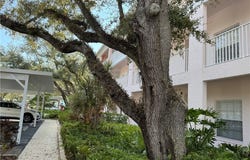 19365 Water Oak Drive unit: J308, Port Charlotte, FL 33948