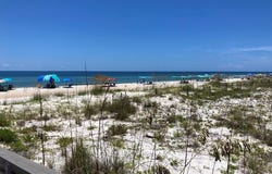 1804 E Gulf Beach Dr, St. George Island, FL 32328