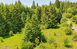 0000 Keasey RD, Vernonia, OR 97064