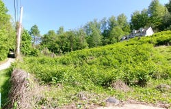 627 turkey knob, Paintsville, KY 41240