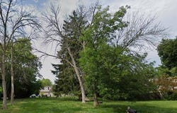 0 N Finnel Ave, Peoria, IL 61604